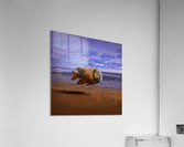 Aclimatação Acrylic Print