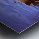 Aclimatação Metal print