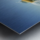 Tenacity Metal print