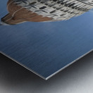 Carthago Delenda Est Metal print