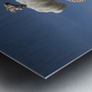 Trapeze Artists with Unusual Trapeze Metal print