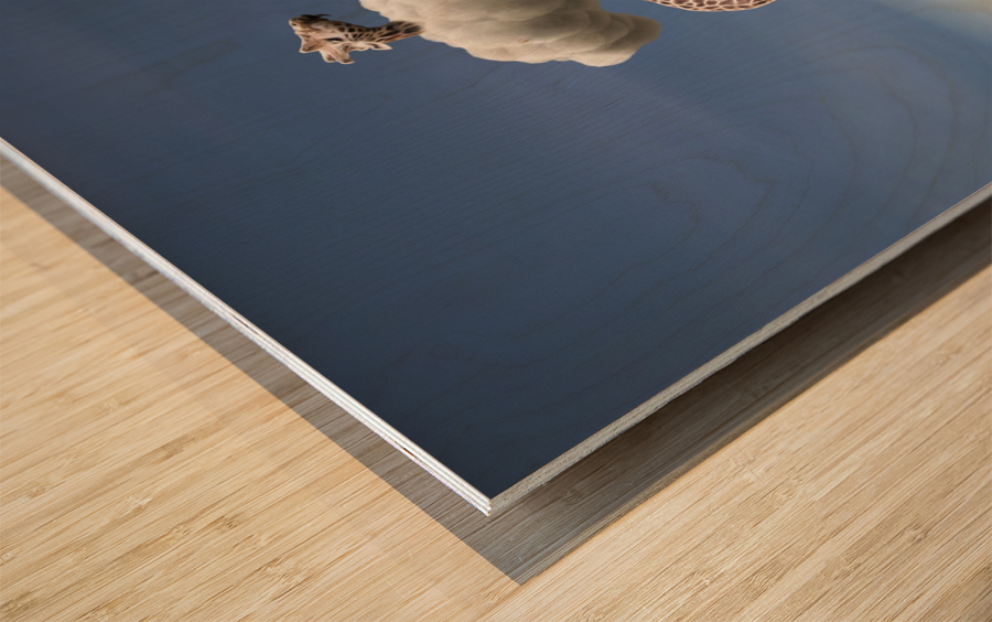 Trapeze Artists with Unusual Trapeze Wood print