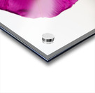 Anticipation Acrylic print