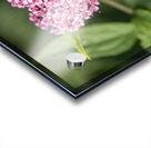 Candlelight Acrylic print