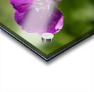 Little Beads Acrylic print