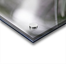 Naked Lady Acrylic print