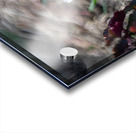 King of the Striped Acrylic print