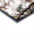 Sunny Serenity Impression Acrylique