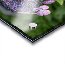 Penny Mac Impression Acrylique