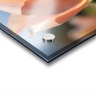 Radiant Reverie Acrylic print