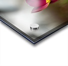 Wine Stained Whispers Acrylic print