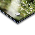 Spring Bokeh Acrylic print