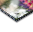  SBP5487 Impression Acrylique