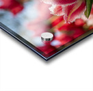  SBP7969 Impression Acrylique