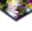  SBP7938 Acrylic print