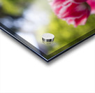  SBP7968 Impression Acrylique