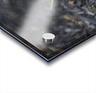  SBP4872 Acrylic print