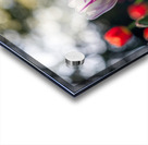  SBP8000 Acrylic print