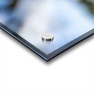  SBP7668 Acrylic print