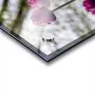  SBP6659 Acrylic print