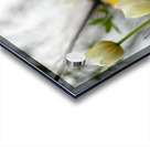 SBP8335 Acrylic print