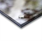 SBP8395 Acrylic print