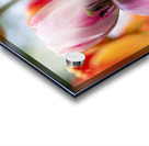 SBP5727 Impression Acrylique