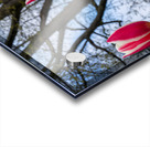 SBP6538 Acrylic print