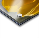 SBP5523 Acrylic print