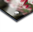 SBP6643 Impression Acrylique