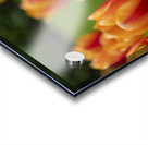 SBP5574 Impression Acrylique