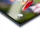 SBP5569 Impression Acrylique