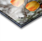 SBP8316 Impression Acrylique