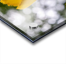 SBP5699 Impression Acrylique