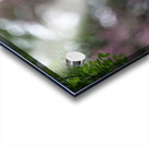 SBP8162 Acrylic print