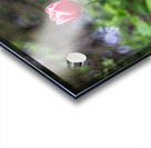 SBP8207 Acrylic print