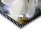 SBP5705 Impression Acrylique