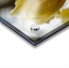 SBP5684 Acrylic print