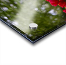 SBP5721 Impression Acrylique