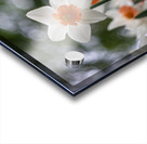 SBP5823 Impression Acrylique