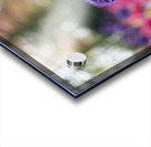 SBP5487 Impression Acrylique