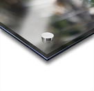 SBP4917 Acrylic print