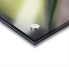 Tiny Blue Umbrella Acrylic print