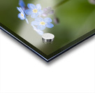 Never Forget Acrylic print