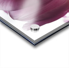 Pink Tulips Impression Acrylique