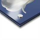 White Tulip Blue Sky Acrylic print