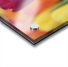 Colorful Acrylic print