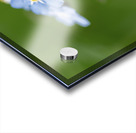 Small World Acrylic print