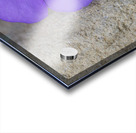 Magic Flower Acrylic print