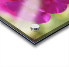 Summertime Acrylic print